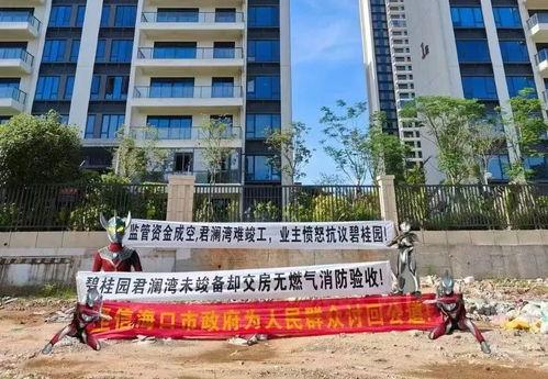 海口碧桂园爆料最新消息,揭秘项目最新进展与亮点 第2张 海口碧桂园爆料最新消息,揭秘项目最新进展与亮点 第2张