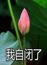 莲花一生最新爆料是真的吗,真相揭秘，是真是假引热议